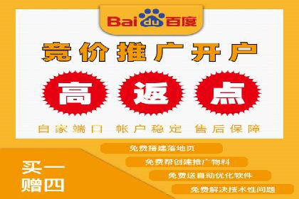 谷歌SEM广告策略：某电商平台的成功逆袭案例